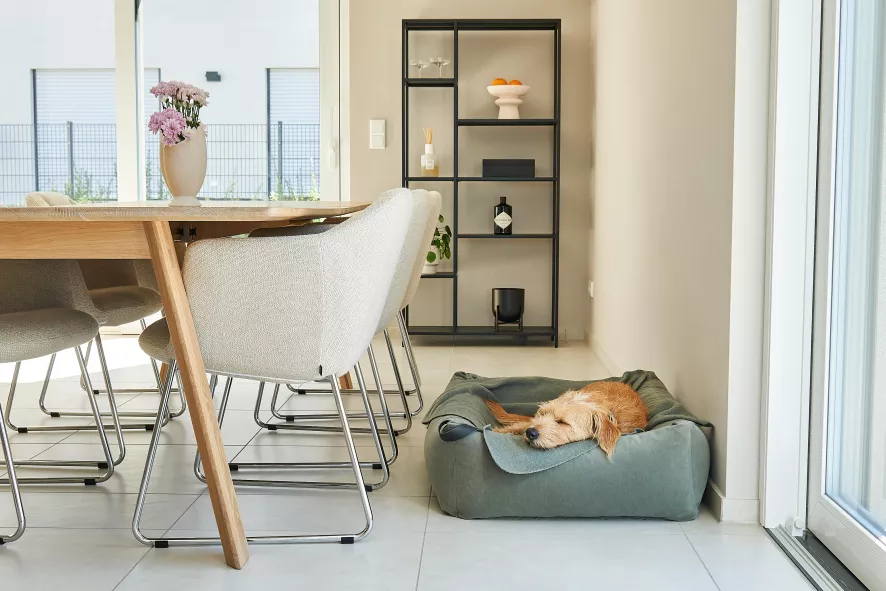 MiaCara Velluto Hondenmand Medium Nude 4 MiaCara Velluto Hondenmand Medium Nude - Afbeelding 2