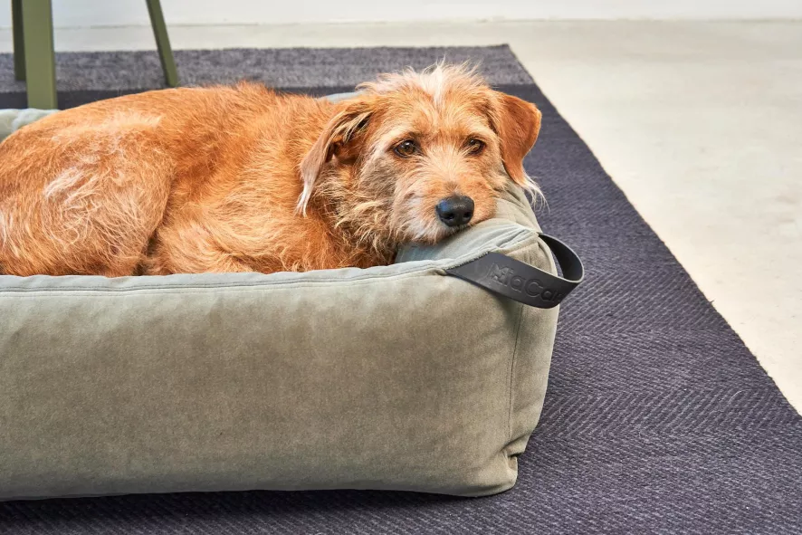 MiaCara Velluto Hondenmand Medium Nude 7 MiaCara Velluto Hondenmand Medium Nude - Afbeelding 5