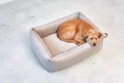 MiaCara Velluto Hondenmand Medium Nude 23 MiaCara Velluto Hondenmand Medium Nude -Meubelwinkel x886x886 miacara velluto hondenmand large9.jpg.pagespeed.ic .IA9vkAoJ5d