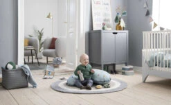 Sebra Commode Kast Met Deuren Grijs 21 Sebra Commode Kast Met Deuren Grijs -Meubelwinkel x886x886 sebra commode kast met deuren.jpg.pagespeed.ic .9gmt0kRd5g