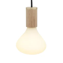 Tala LED Noma LED Lichtbron E27 6W 2700K Opaal Dimbaar -Meubelwinkel x886x886 tala led noma led lichtbron 6w e27 dimbaar2.jpg.pagespeed.ic .L2W81s9tRV