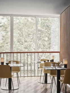 &tradition Rely HW6 Stoel Wit, Zwart Onderstel -Meubelwinkel x886x886 tradition rely hw6 stoel bronzed onderstel11.jpg.pagespeed.ic .UH43px9 oX