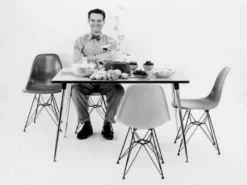 Vitra Eames DSW Fiberglass Stoel Essen Honing, Parchment -Meubelwinkel x886x886 vitra eames dsr fiberglass stoel met verchroomd onderstel7.jpg.pagespeed.ic .Opu7847bZD