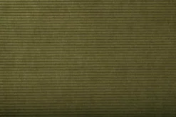 Zuiver Ridge Rib Barkruk Groen 36 Zuiver Ridge Rib Barkruk Groen -Meubelwinkel x886x886 zuiver ridge kink rib stoel zonder armleuningen15.jpg.pagespeed.ic .FOYD7A3hiX